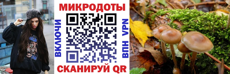 Галлюциногенные грибы GOLDEN TEACHER  Себеж 