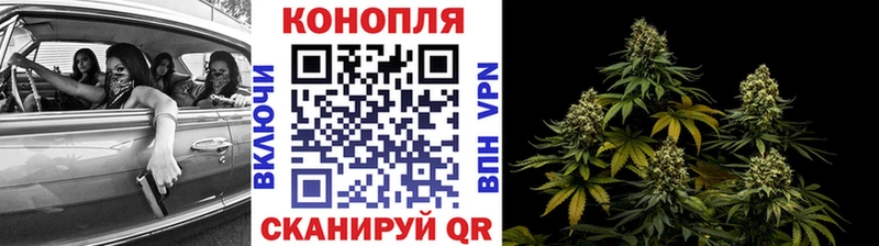 МАРИХУАНА конопля  Себеж 